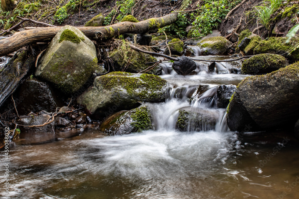 Fototapeta premium waterfall in the forest