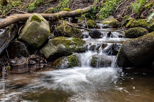 waterfall in the forest