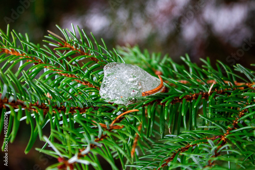 christmas tree decoration
