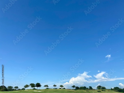 landscape with trees and clouds