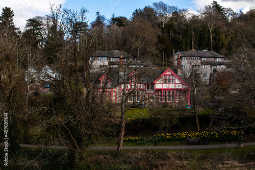 camping in the forest
