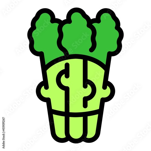 Garden asparagus icon. Outline garden asparagus vector icon color flat isolated