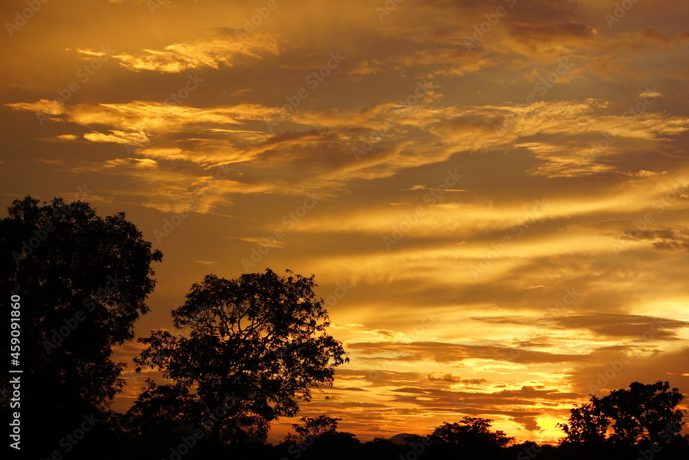 スリランカ・ポロンナルワ近郊の夕焼け空
