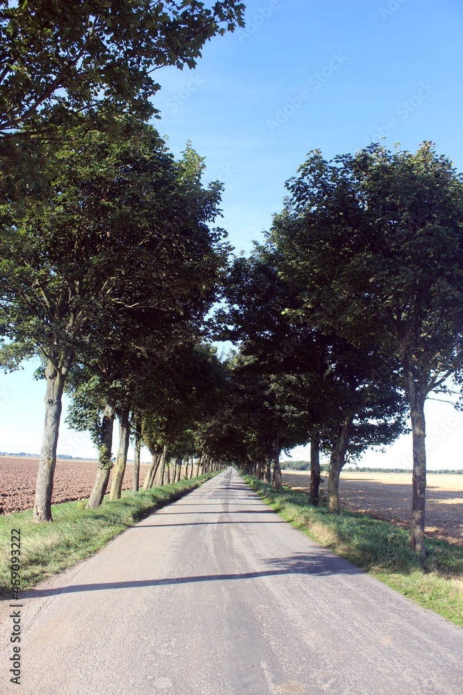 Sunk Island, East Riding of Yorkshire.