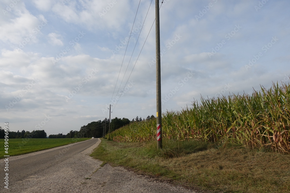 Fototapeta premium Landwirtschaft/ Feld