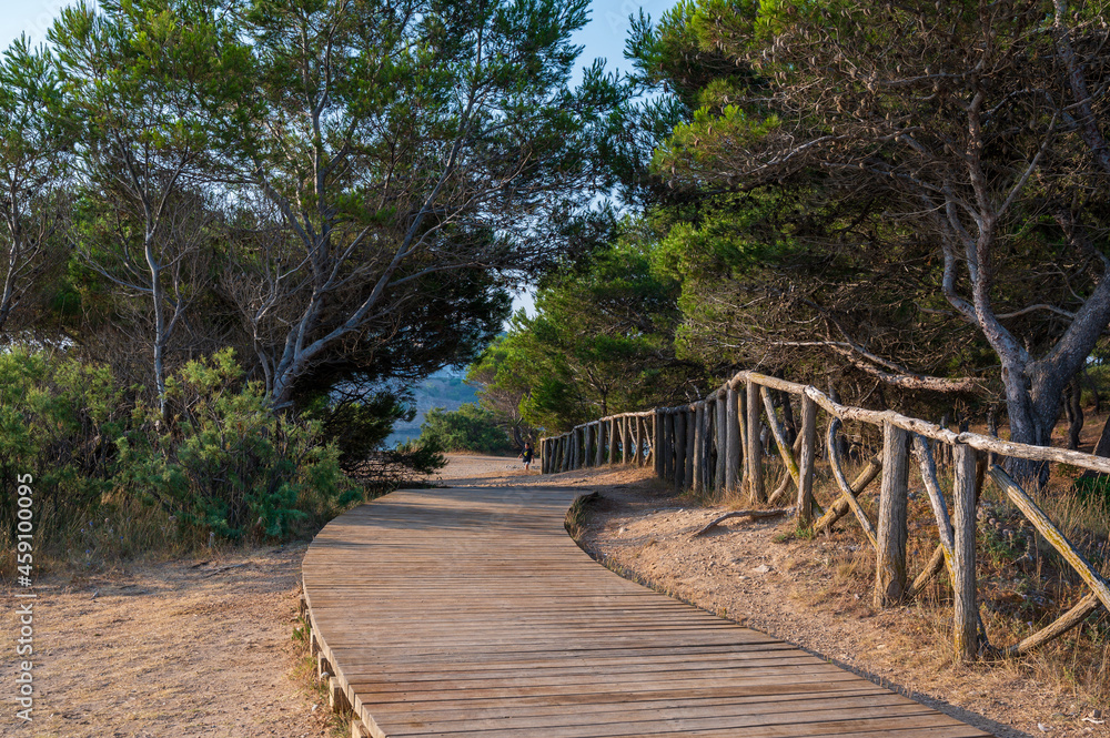 L'Escala catalonia Spain  July 22 2019 beach side boardwalk between Empuries and L'Escala