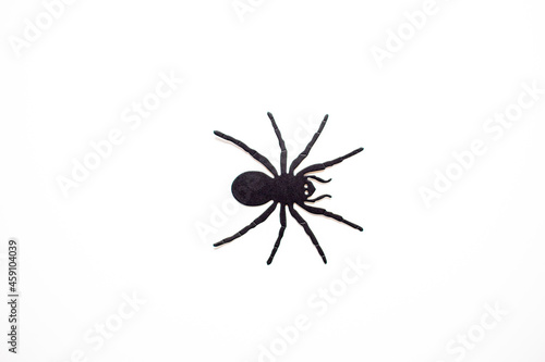 Metallic wolf spider on a blank white background