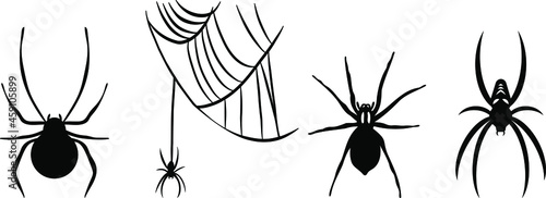 Vectors of the spiders - Spiderweb