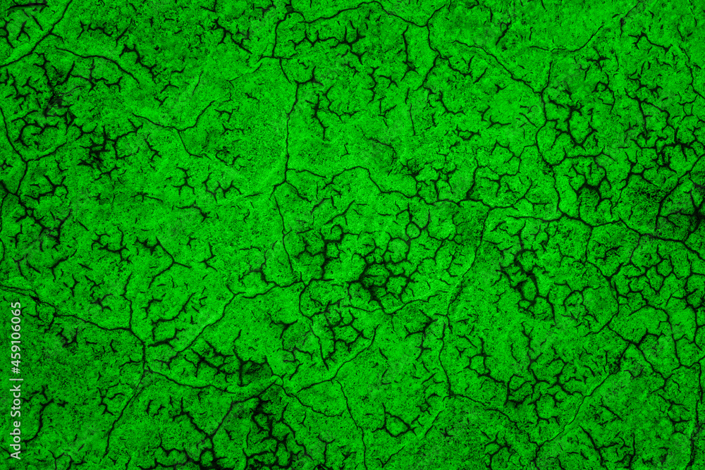 Green texture for your design Green texture for your design