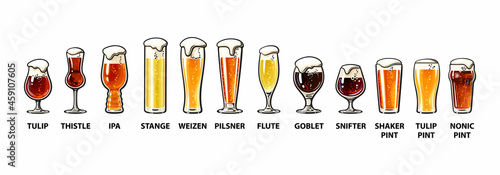 Beer glassware guide. Various types of beer glasses. Hand drawn vector illustration.