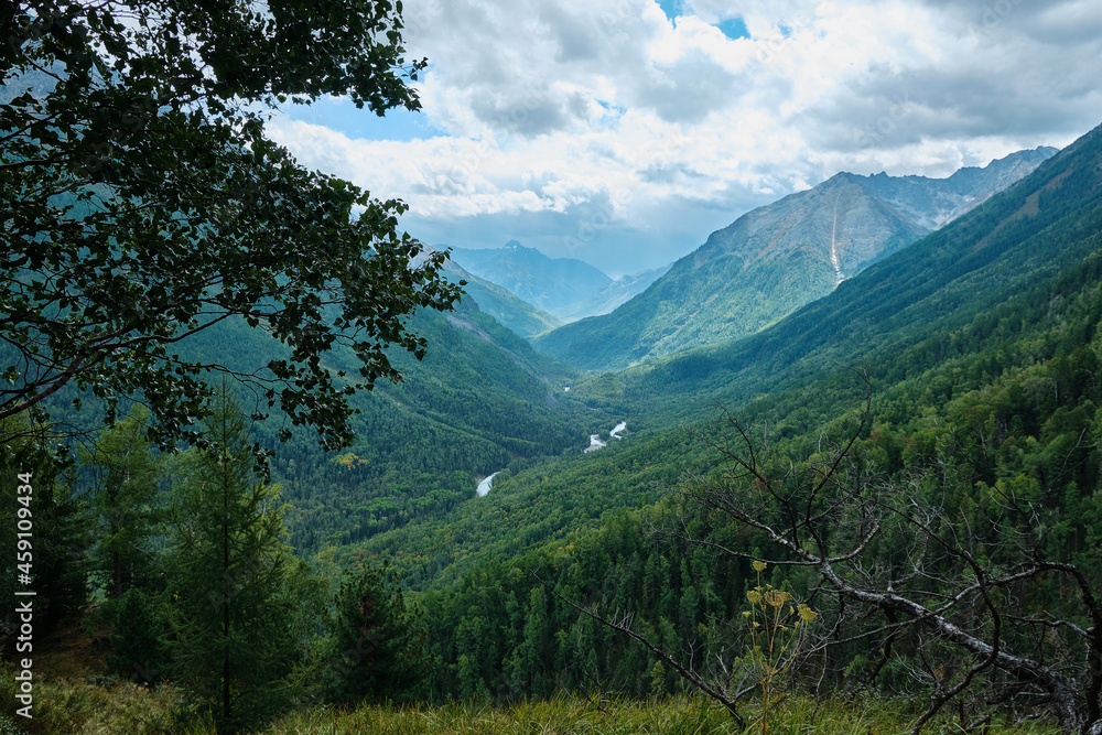 Fototapeta premium Beautiful nature of the Altai mountains
