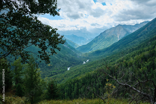 Beautiful nature of the Altai mountains