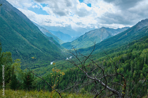 Beautiful nature of the Altai mountains