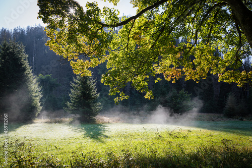 Photos Herbstliche Landschaft im Frühnebel, der Harz am Morgen bei aufsteigenden Nebels