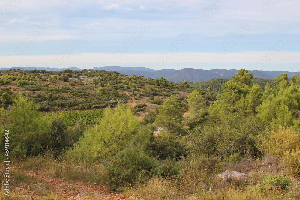 Paysage Paysage