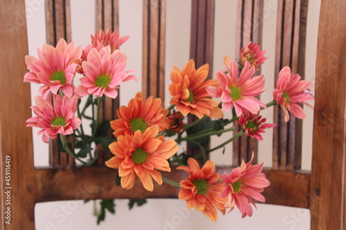 orange and pink chrysanthemums