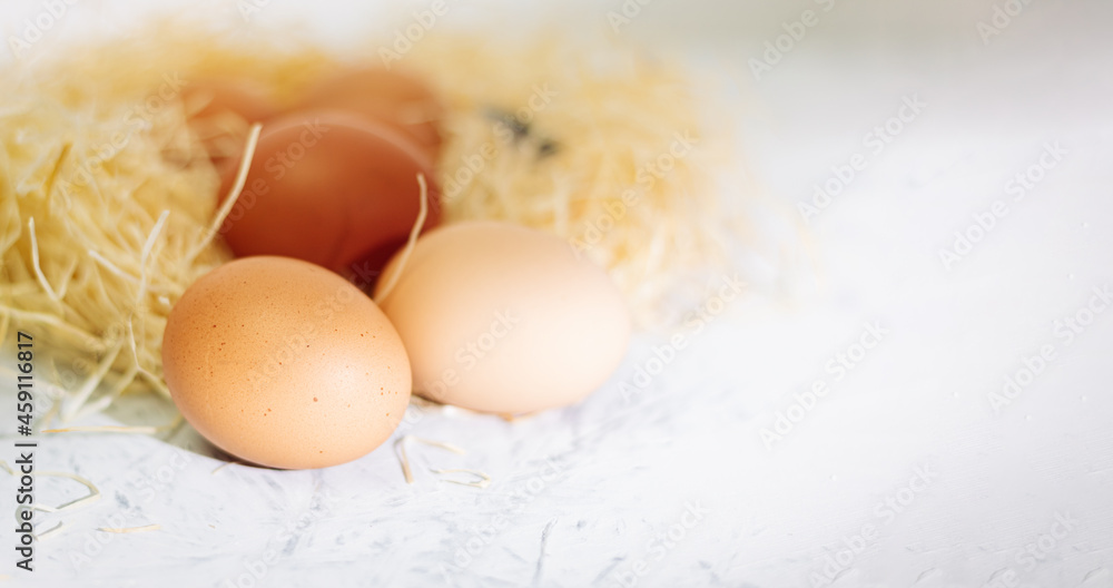Chicken eggs close-up and background copy space Chicken eggs close-up and background copy space