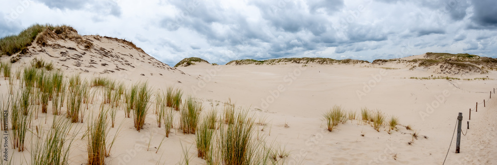 Panorama of the sand dunes absorbing the forest in Słowiński National Park in Poland. Photo taken in good lighting conditions on a cloudy day Panorama of the sand dunes absorbing the forest in Słowiński National Park in Poland. Photo taken in good lighting conditions on a cloudy day