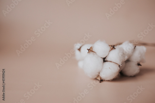 cotton buds macro