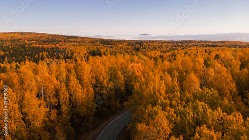 Natural background, aerial view. Autumn nature in the forest and the road passing through it. © Сергей Петросянц