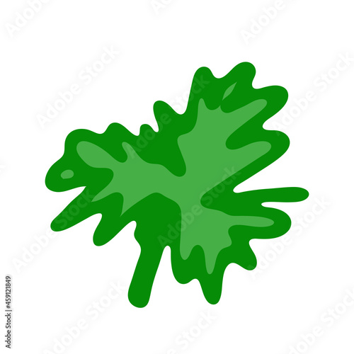 Green leaf of plant