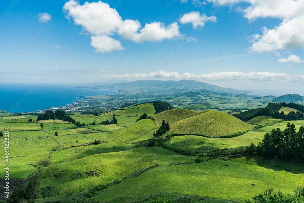 Obraz premium landscape with green field and blue sky