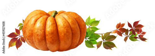 Ripe pumpkin and autumn col...