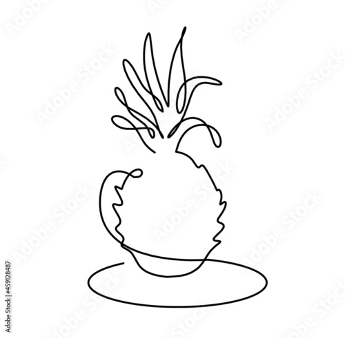 Drawing line pineapple on the white background. Vector