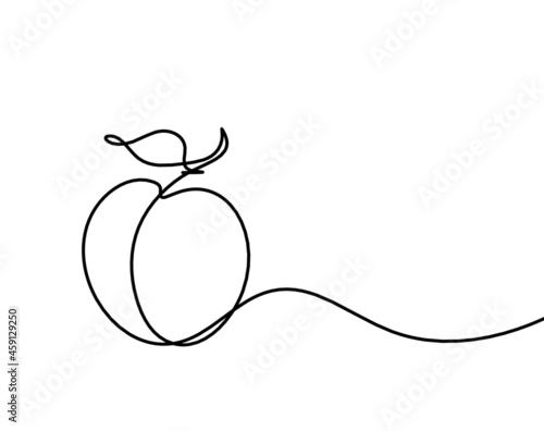 Drawing line apricot (peach, nectarine, plum) on the white  background. Vector
