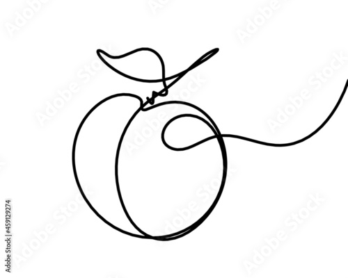Drawing line apricot (peach, nectarine, plum) on the white  background. Vector