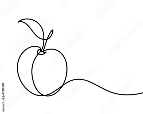 Drawing line apricot (peach, nectarine, plum) on the white  background. Vector