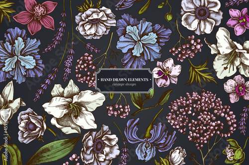 Floral design on dark background with anemone, lavender, rosemary everlasting, phalaenopsis, lily, iris
