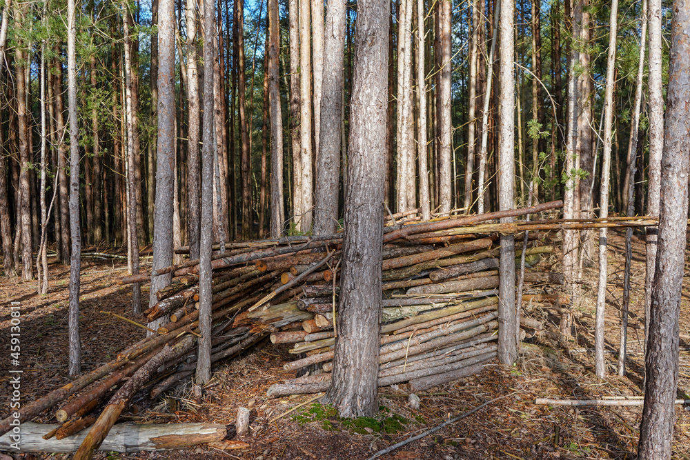 Obraz premium A hut made of logs in the woodland