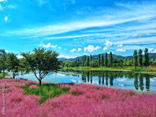 landscape with lake