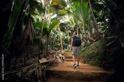 Young man with backpack discovering jungle. Traveler in tropical rainforest in Seychelles..