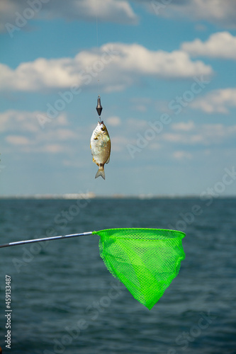 boat on the sea