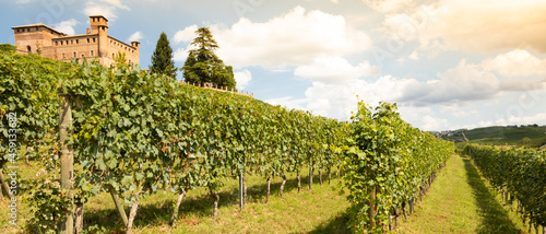 Tableau sur toile Vineyard in Piedmont Region, Italy, with Grinzane Cavour castle in the backgroun