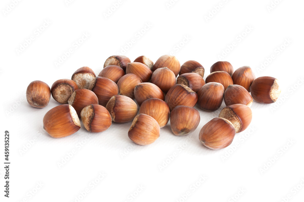 Hazelnut isolated on white background closeup Hazelnut isolated on white background closeup