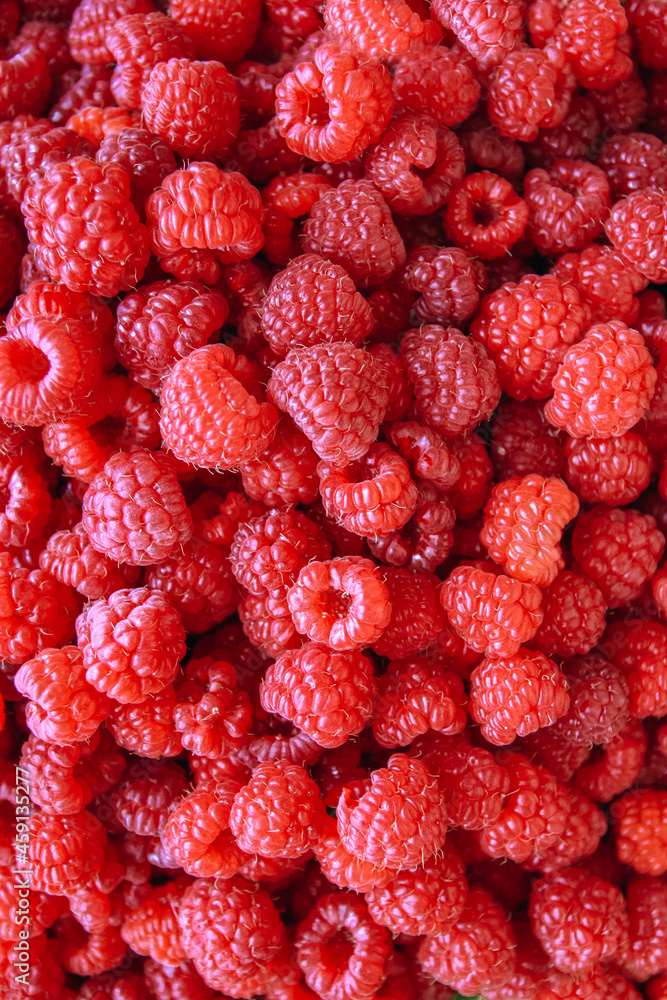 Fresh raspberry closeup backround Fresh raspberry closeup backround