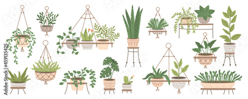 Set of plants in hanging pots. Houseplant hang on rope, decorative indoor plants, macrame flower pots, home potted plants vector illustration icons set. Flower in pots on stands. Home jungle