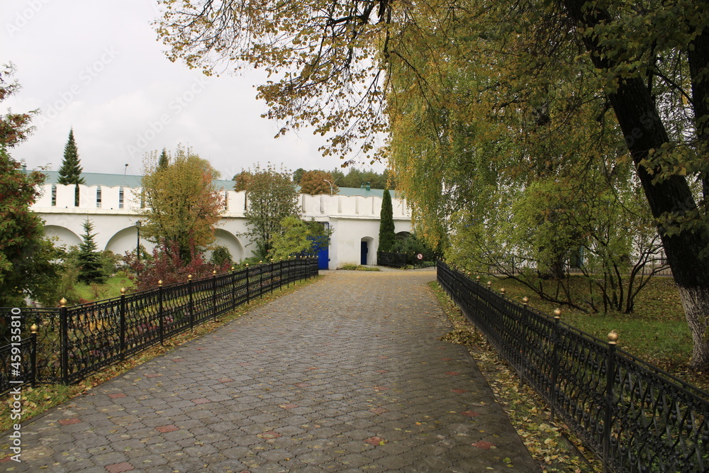 Obraz premium alley in autumn