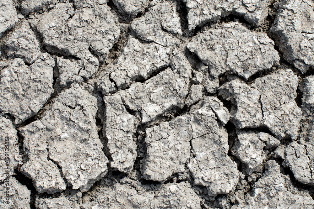Fototapeta premium The texture of the dry surface of the earth with deep cracks. Soil background.