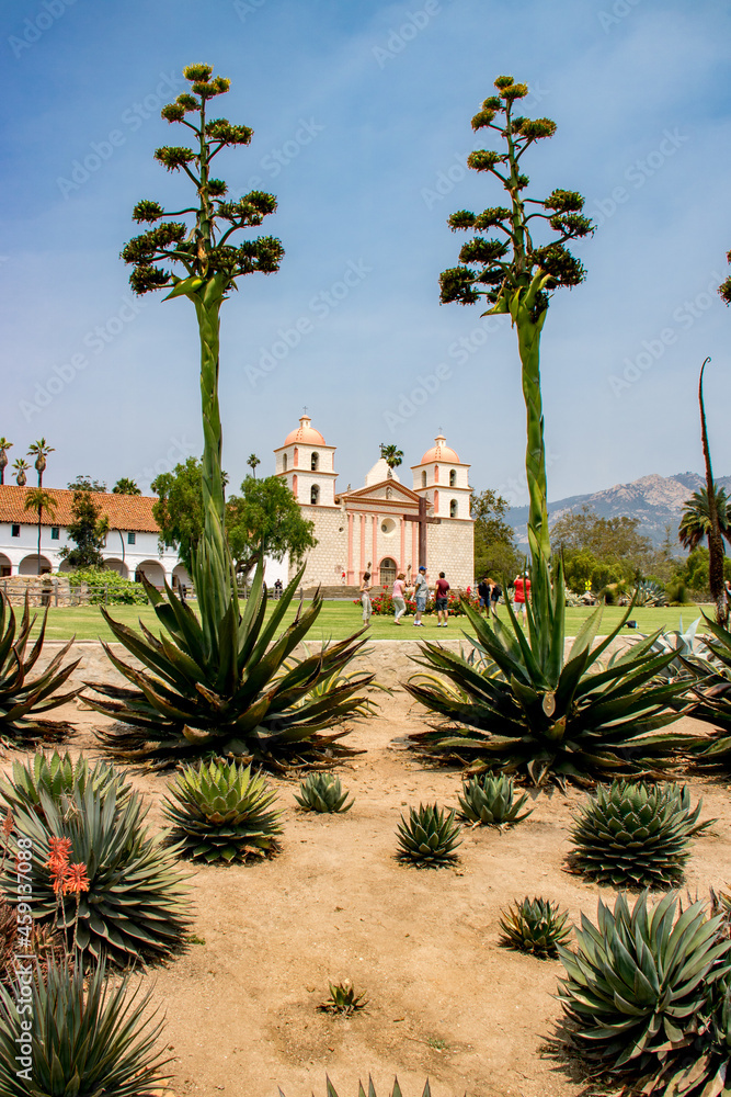 Mission de santa barbara (californie) vie au travers de plantes à ras du sol