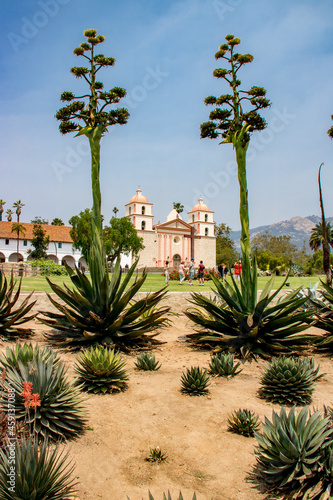 Fotografia Mission de santa barbara (californie) vie au travers de plantes à ras du sol