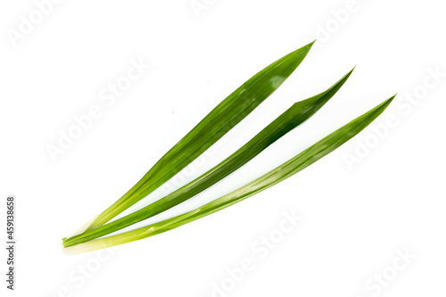 Fresh green pandan leaves isolated on white background