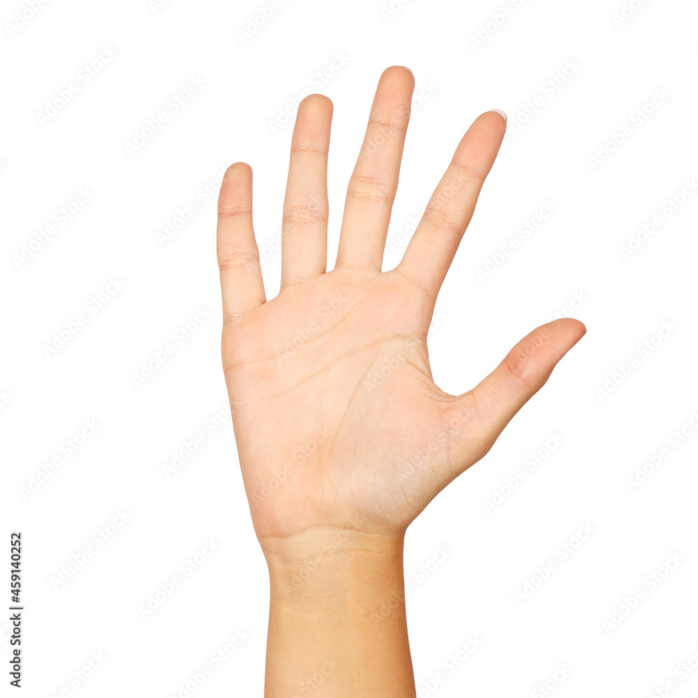 american sign language number 5 american sign language number 5