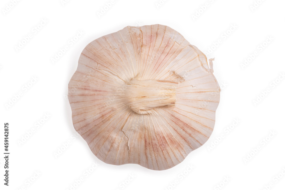 Head of garlic isolated white background. Head of garlic isolated white background.
