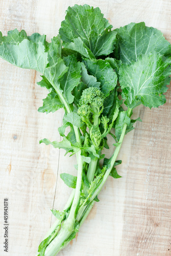Fotografie Freshly picked cime di rapa (brassica rapa)
