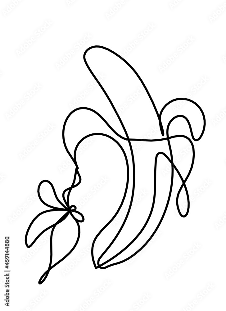Drawing line banana on the white background. Vector Drawing line banana on the white background. Vector