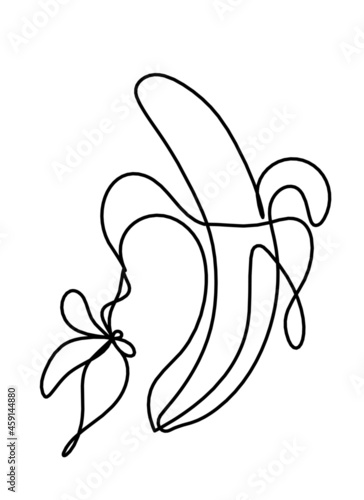 Drawing line banana on the white background. Vector